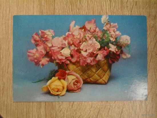 ПОДПИСАННАЯ ОТКРЫТКА СССР. "ПОЗДРАВЛЯЮ" ФОТО. Э. СТЕЙНЕРТА. 1977 ГОД.