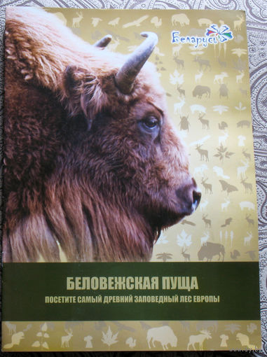 Беловежская пуща.