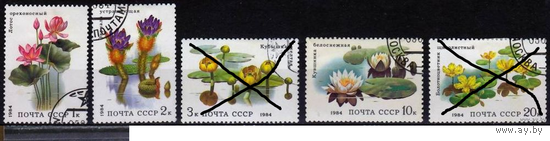 СССР-1984, цветы, флора , гаш., водные цветы