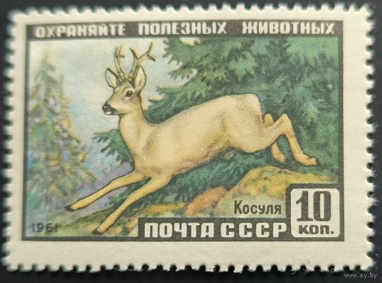 СССР. Фауна СССР