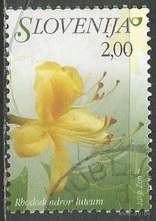 Словения. Цветы. Рододендрон. 2007г. Mi#625.