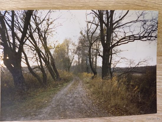 О-1. ФОТОГРАФИЯ . ОСЕННЯЯ ДОРОГА.