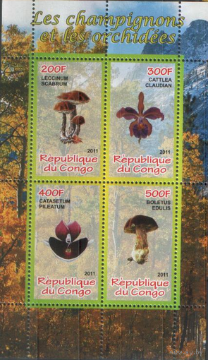 Грибы и орхидеи 3,  ПБ**