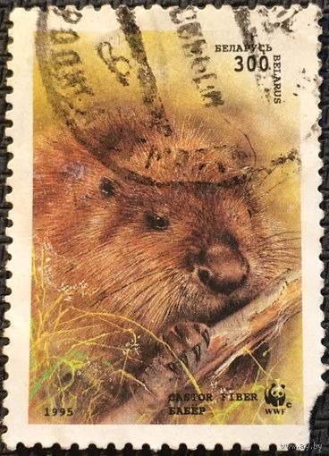 ЦІКАВІЦЬ АБМЕН! 1996, бабёр, 300 руб