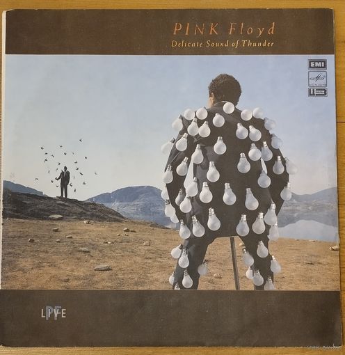Pink Floyd (2LP) - Delicate Sound Of Thunder