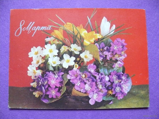 Костенко Г.(фото), 8 Марта, 1976, подписана.