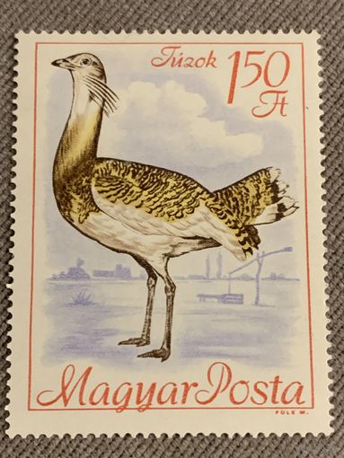 Венгрия 1968. Фауна. Птицы. Марка из серии