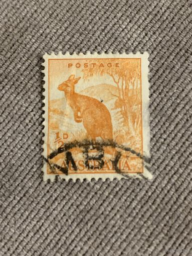 Австралия. Кенгуру. Марка из серии