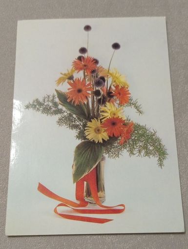 Фото С. Ткаченко, С днем рождения! 1989, чистая.