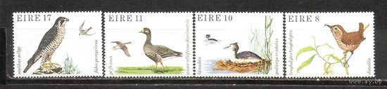 ФФ1 Ирландия 1979 Птицы