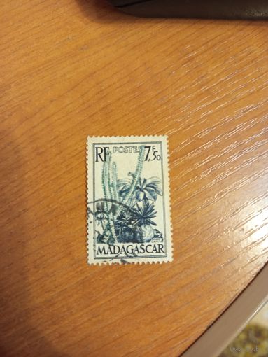 Французская колония Мадагаскар флора кактусы (4-2)