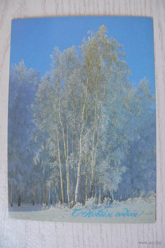 Богданов А., С Новым годом! 1988, чистая, ДМПК.