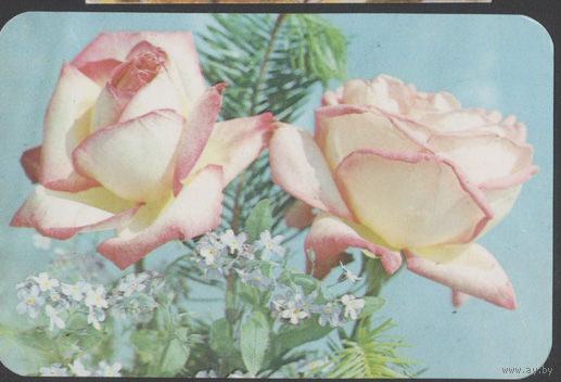 Календарик. Цветы-розы. 1990.