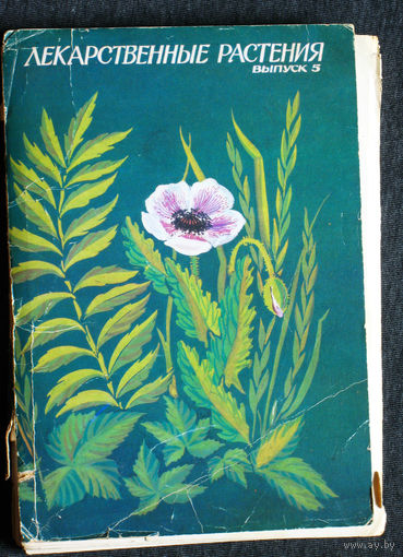 Лекарственные растения. Выпуск 5. 32 открытки