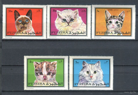 Фуджейра - 1970г. - Коты - полная серия, MNH [Mi 588-592] - 5 марок