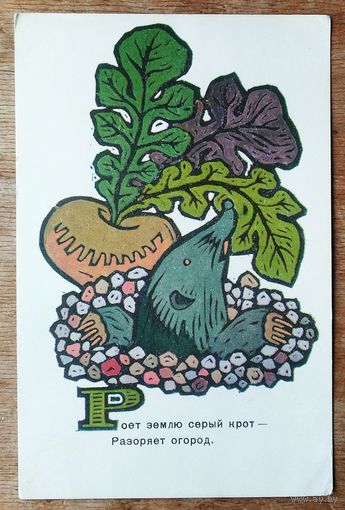 Сенновский Б. Крот. 1969 г. Чистая.
