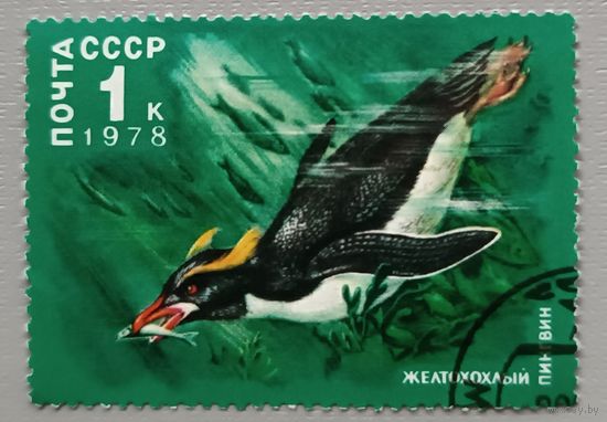 СССР, 1978. Пингвин