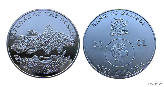 Замбия 4000 квача 2001 Кистеперая рыба серебро