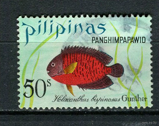 Филиппины - 1972 - Рыбка 50S. Авиамарка - [Mi.1012] - 1 марка. Гашеная.  (LOT FS32)-T10P47