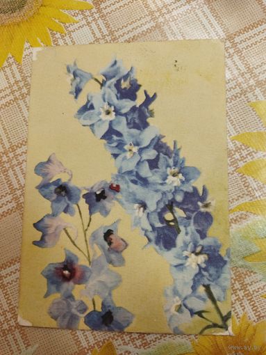 Открытка. Цветы.  1958 год. Отпечатана в Польше для СССР.