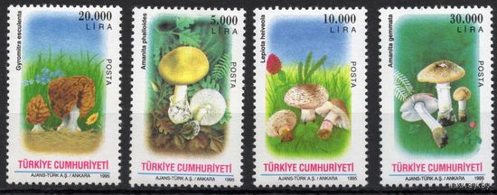 Турция 1995. Флора Грибы 4 марки (3063)