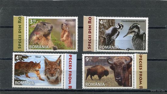 Румыния. Фауна. Вып.2013