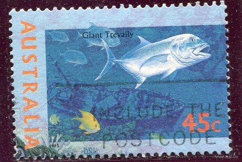 Австралия. Морская фауна. Зубцовка