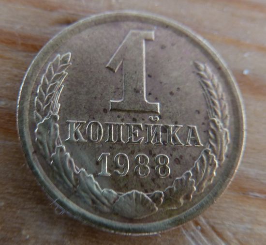 1 копеека 1988