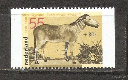 КГ Нидерланды 1988 Фауна