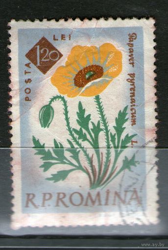 Румыния. Михель- 2027. Гашеная.