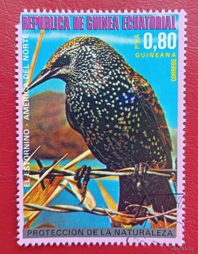 Экваториальная Гвинея, 1976 г., птицы
