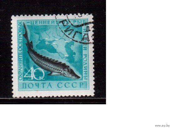СССР-1959, (Заг.2246)  гаш.(с клеем)  ,Фауна, Рыбы