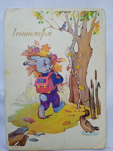 Школа. Ожегова. 1 сентября