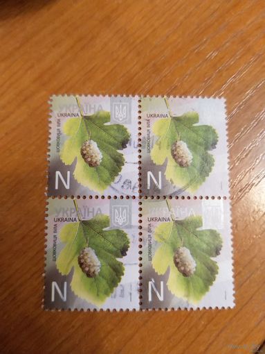 Украина флора квартблок (5-9)