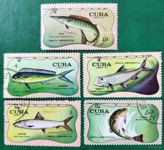 Куба 1971. Рыбы