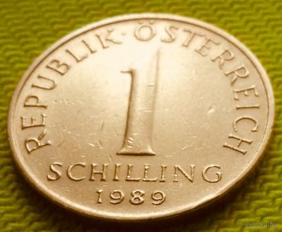 1 шиллинг 1989 года.