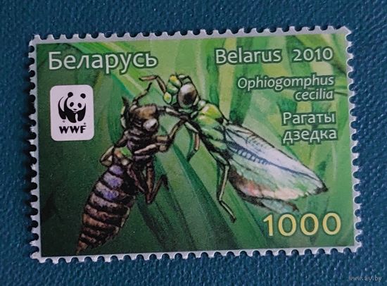 Беларусь 2010 Рогатый дедка
