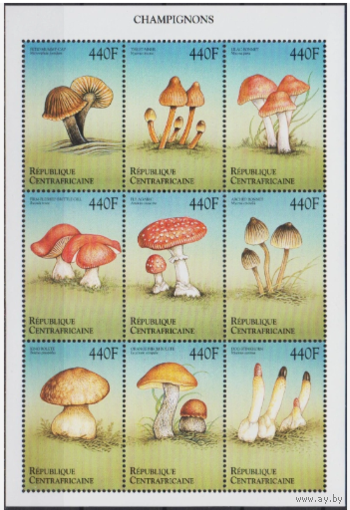 ЦАР Центральная Африканская Республика 1999 Грибы  MNH