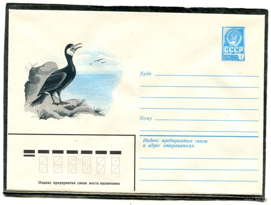 СССР 1982. ХМК. Конверт. Большой баклан