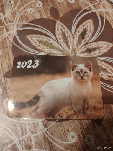 Календарик,котик,2023