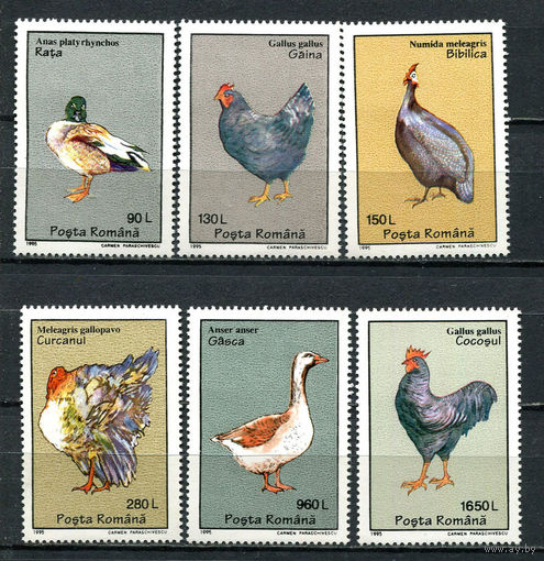 Румыния - 1995 - Птицы - [Mi. 5111-5116] - полная серия - 6 марок. MNH.  (Лот 95Gi)-T2P37