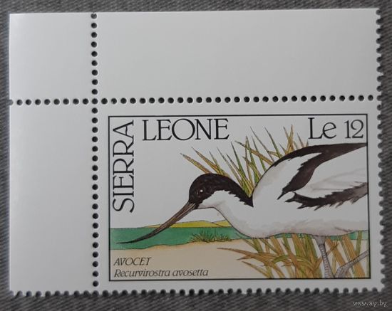 1989  Шилоклювка Сьерра -Леоне