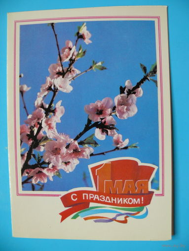 Панов В.(фото), Курьерова Л.(художник), 1 Мая. С праздником! 1986, двойная, чистая (из сувенирного комплекта).