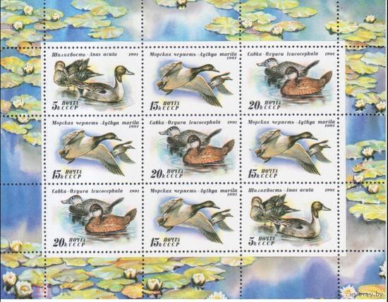 СССР 1991 г 6334-6335-6336 УТКИ МОРСКАЯ ФАУНА     MNH