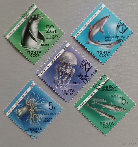 Фауна Черного моря. СССР, 1991