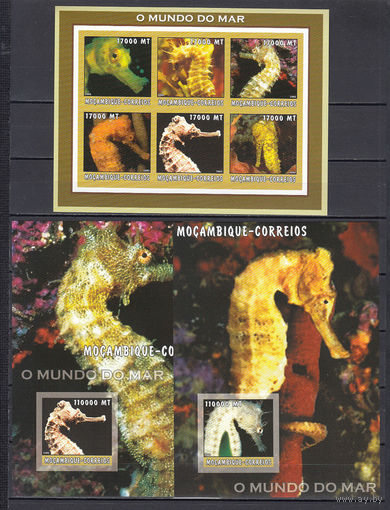 Мир моря. Морские коньки. Мозамбик. 2012. 1 малый лист и 2 блока. Michel N 2566-2721, бл168 (40,0 е)