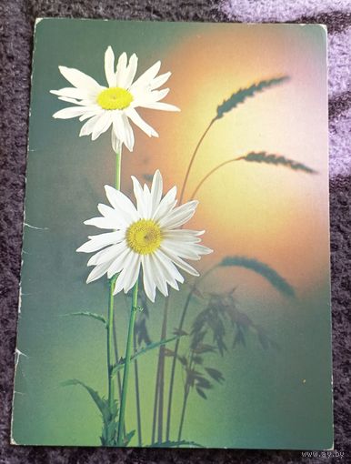 Поздравляю!