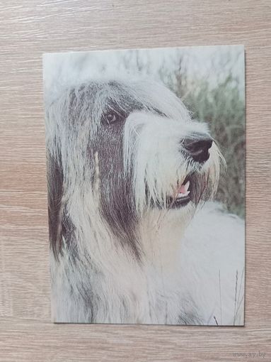 Календарик 1993