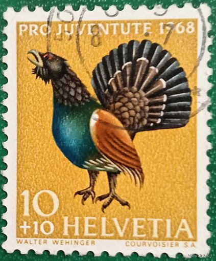 Швейцария 1968. Фауна. Глухарь