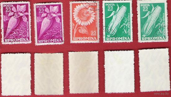 Румыния 1959 Сельское хозяйство. Овощи